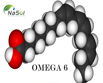 Omega 6 - Thành phần, cấu trúc, công dụng - Nguyên liệu Nasol
